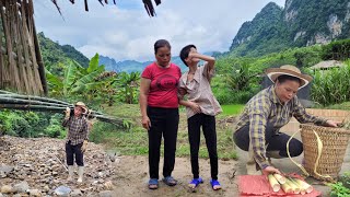 Harvesting bamboo shoots to sell at the market  the disabled girl has new sandals so happy [upl. by Ahker888]