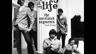 The Unrelated Segments  The story of my life 196772 US Garage Rock [upl. by Adnilec]