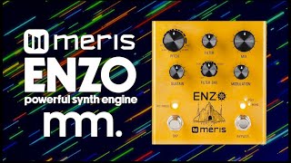 MusicMaker Presents  MERIS ENZO What A Guitar Synth Pedal Should Sound Like MerisUs [upl. by Dev]