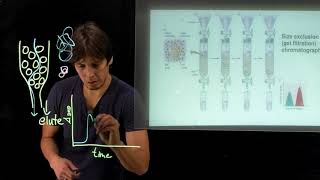 Topic 49  Size exclusion chromatography [upl. by Giarg760]