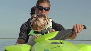 Meet the 2019 SeaDoo Lineup – Live the SeaDoo Life [upl. by Ydnew]