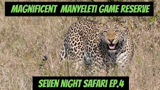 Magnificent Manyeleti Game Reserve  7 Night Safari Ep4 [upl. by Enalahs]