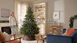 Basic Tree Setup Featuring The Classic Balsam Hill BH Nordmann Fir [upl. by Lenahtan]