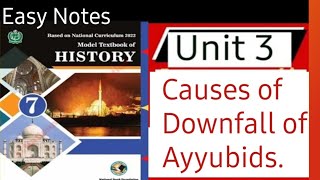 Causes of the Downfall of the Ayyubids  Easy Notes Class 7 History Unit 3 Learn with Jasmeen [upl. by Atnoek209]