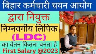 बिहार मे क्लर्क  LDC  निम्नवर्गीय लिपिक को कितना वेतन मिलता है  Salary Slip Feb 2023 [upl. by Benildas]