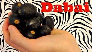 Dabai Review Canarium odontophyllum Weird Fruit Explorer Ep 135 [upl. by Akilat]