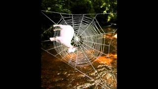 Spider Goat Documentary BBC [upl. by Onra369]