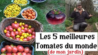 Les 5 Meilleures Tomates du Monde de mon jardin [upl. by Ramyar]