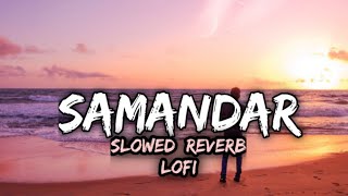 Samandar Song SlowedReverb Jubin Nautiyal amp Shreya Ghosal  Lofi Version lofi [upl. by Bluefarb]