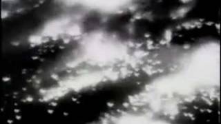 1945 Dresden Bombing Newsreel [upl. by Jadd]