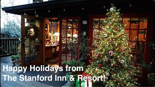 HAPPY HOLIDAYS from the Stanford Inn amp Resort 2023 ecotourism vegantravel [upl. by Job]