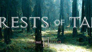 Vol 2  Jeremy Soule Skyrim — “In The Forests of Tamriel” Redux Extended 1 Hr [upl. by Gonzalo316]