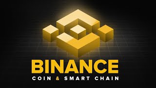 What is BNB Binance Smart Chain Explained with Animations [upl. by Eirojam207]