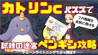 【RO】カトリンc挿しパズズで試練の迷宮ペンギン攻略 [upl. by Peg]