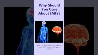 EMF Meters How do you detect EMF radiation in your home and environment [upl. by Adarbil]