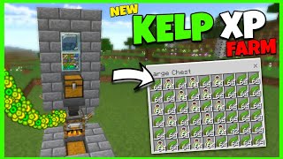 The BEST KELP XP FARM TUTORIAL in Minecraft Bedrock 120 [upl. by Susann]