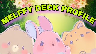 MELFFY DECK PROFILE FEB 2024 [upl. by Kirven701]