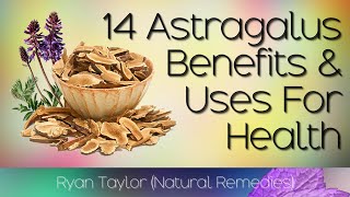 Astragalus Benefits and Uses Huáng Qí [upl. by Ahsinev647]