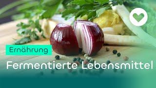 Gesünder und fitter mit fermentierten Lebensmitteln [upl. by Mozza116]