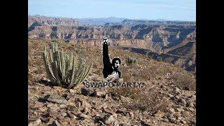 R Namibia Patriotic Song Namibia is our land [upl. by Hall]