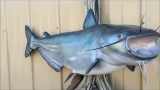 Blue Catfish Fish Mount Replica by Coast to Coast Fish Mounts [upl. by Tiga]