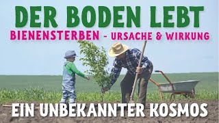 Der Boden lebt  ein unbekannter Kosmos [upl. by Nievelt]