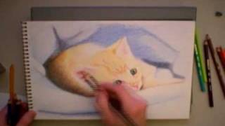 011 Speed Drawing  Colored Pencil Cat [upl. by Aelyak]