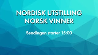 NKK Sandefjord 2024  Nordisk utstilling Norsk vinner [upl. by Lepley42]