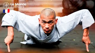 Quel est le secret de la force étonnante des moines du monastère de Shaolin  Le Monde à LEnvers [upl. by Herman]