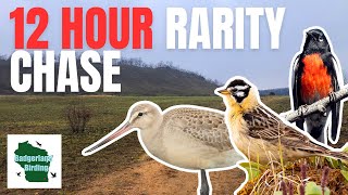 We Have 12 Hours to Find as Many Rare Birds as Possible [upl. by Orelle]