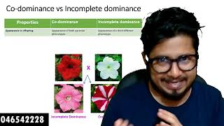 Codominance vs incomplete dominance  the difference between incomplete dominance and codominance [upl. by Israel672]