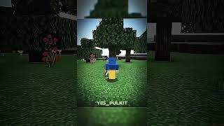 Minecraft Country Moment 💀  minecraft gaming shorts [upl. by Anrak]