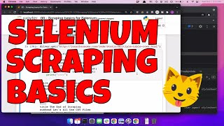 Selenium  pandas web scraping tutorial for Python 2021 but also Im late to pick up a cat [upl. by Robbyn]