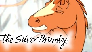 The Silver Brumby  Episodes 1620 2 HOUR COMPILATION HD  Full Episode [upl. by Aleciram]