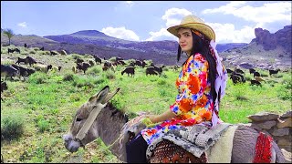 Village Life Iran Village Girl Rides Donkey amp Shepherds All Day  Village Fast Food [upl. by Yttik]