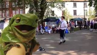 Funny Talking Frog Lip Sync as David Attenborough Narrating Morris Dancing [upl. by Odranar]