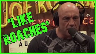 LIKE ROACHES Rogan Rails Against The Rise Of AntiSemitism  The Kyle Kulinski Show [upl. by Lancelle]