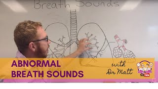 Abnormal Breath Sounds  Respiratory System [upl. by Iht598]