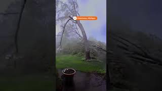 Doorbell camera shows tornado winds downing trees in Michigan  REUTERS [upl. by Asteria]