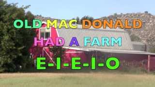 OLD MAC DONALD HAD A FARM  Nursery Rhyme Song  Animal Sounds Part 2 Learn ENGLISH [upl. by Nylareg791]