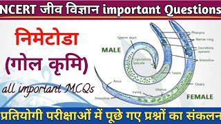 संघ निमेटोडा  Nematoda  Lt TGT PGT etc  NCERT Biology Class  11 [upl. by Phil]