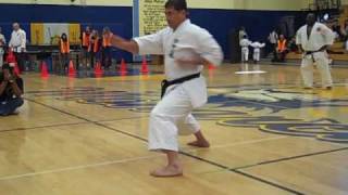 Sensei Steve Wong Exeter 111409wmv [upl. by Bengt]