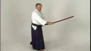 Aikido Sword Fighting KenGi One  Bokken Shomenuchi [upl. by Nnalorac813]