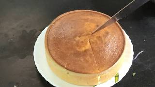 Condensed Milk Cake Recipe  How To Make Condensed milk cake in easy way [upl. by Eciryt]