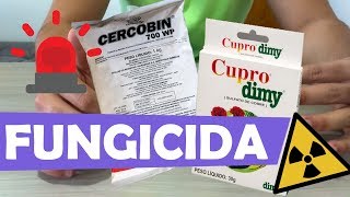 Como eu aplico FUNGICIDA nas minhas suculentas [upl. by Nodnahs609]