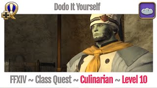 FFXIV Culinarian Class Quest Level 10  A Realm Reborn  Dodo It Yourself [upl. by Ereynihc81]