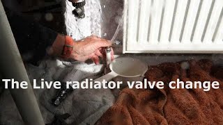 How To Remove Thermostatic Radiator Valve Top [upl. by Laks]