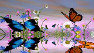 Fantastic Butterfly Screensaver httpwwwscreensavergiftcom [upl. by Coben]