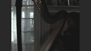 quotVideo Gamesquot by Lana Del Rey  Harp Cover [upl. by Macmullin]