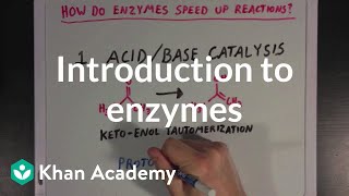 Introduction to enzymes and catalysis  Chemical Processes  MCAT  Khan Academy [upl. by Neyu763]